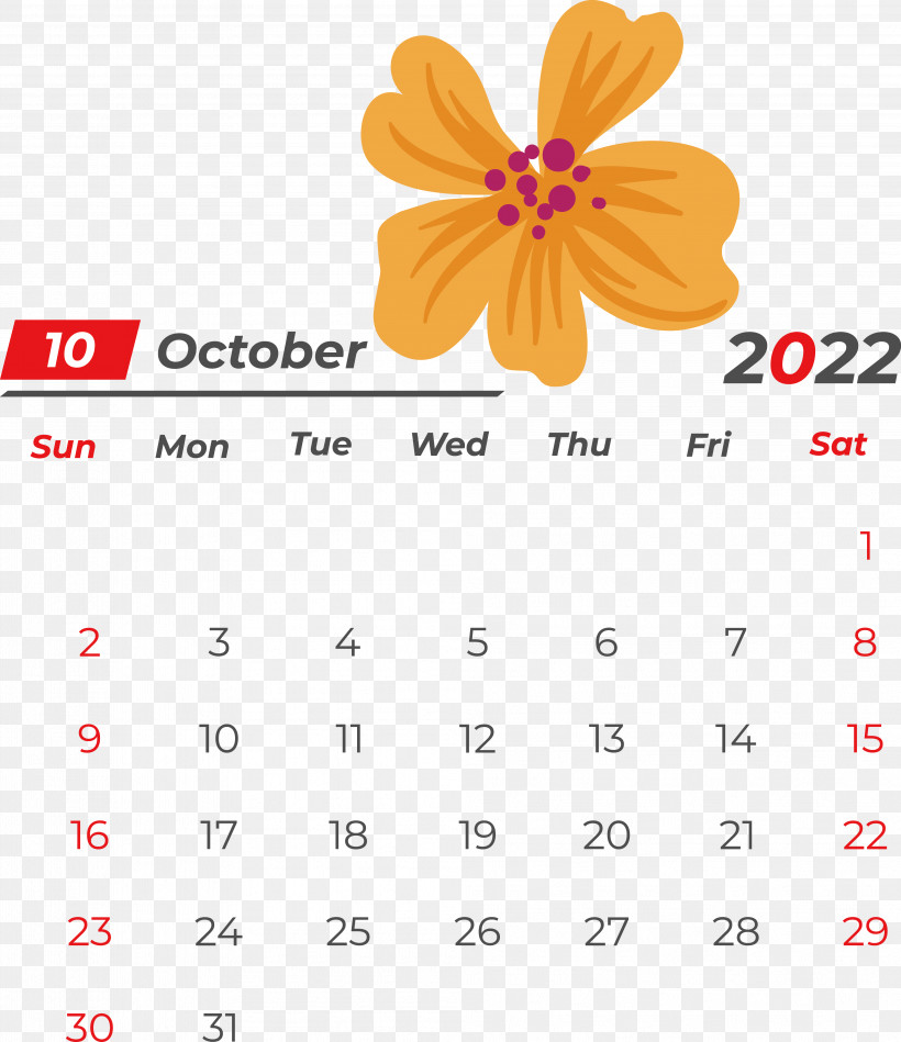Line Calendar Flower Meter Geometry, PNG, 3974x4603px, Line, Calendar, Flower, Geometry, Mathematics Download Free