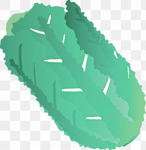 Nappa Cabbage PNG