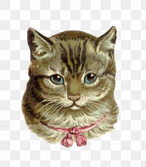 Victorian Animal Cliparts - Pink Cat Kitten Tabby Cat Clip Art PNG