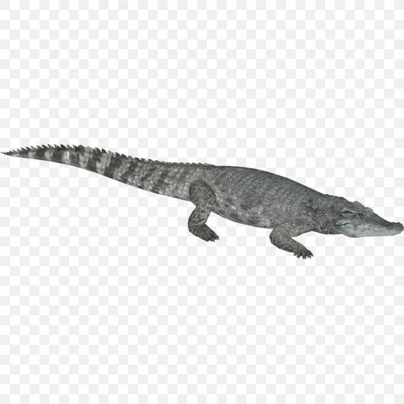 Crocodiles Gharial Nile Crocodile American Alligator, PNG, 1563x1563px, Crocodiles, Alligator, American Alligator, Animal, Animal Figure Download Free