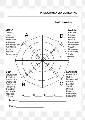 Design - Drawing Document Product Design Point PNG