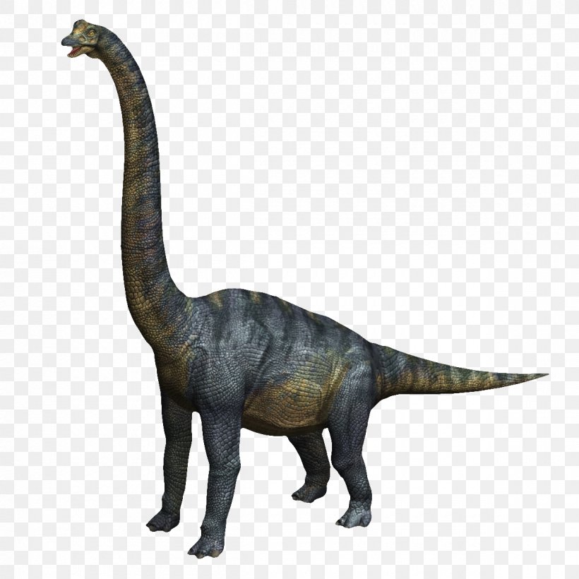 Velociraptor Brachiosaurus Tyrannosaurus Baryonyx Triceratops, PNG, 1200x1200px, 3d Computer Graphics, 3d Modeling, Velociraptor, Animal, Animation Download Free