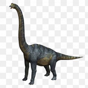 Blue Dinosaur - Velociraptor Brachiosaurus Tyrannosaurus Baryonyx Triceratops PNG