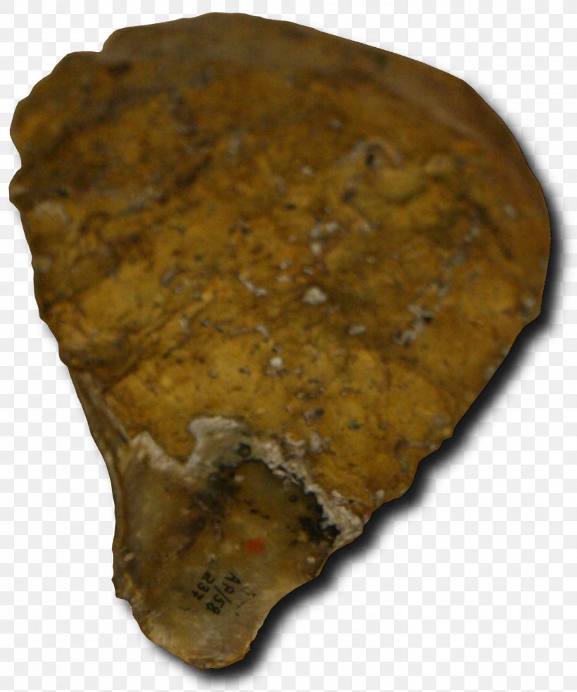 Abri Pataud Neandertal Upper Paleolithic Prehistory Magdalenian, PNG, 1472x1766px, Neandertal, Artifact, Blade, Dordogne, France Download Free