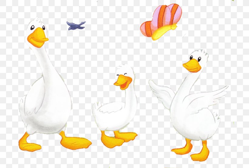 Duck Beak Clip Art, PNG, 720x553px, Duck, Animal, Animal Figure, Beak, Bird Download Free