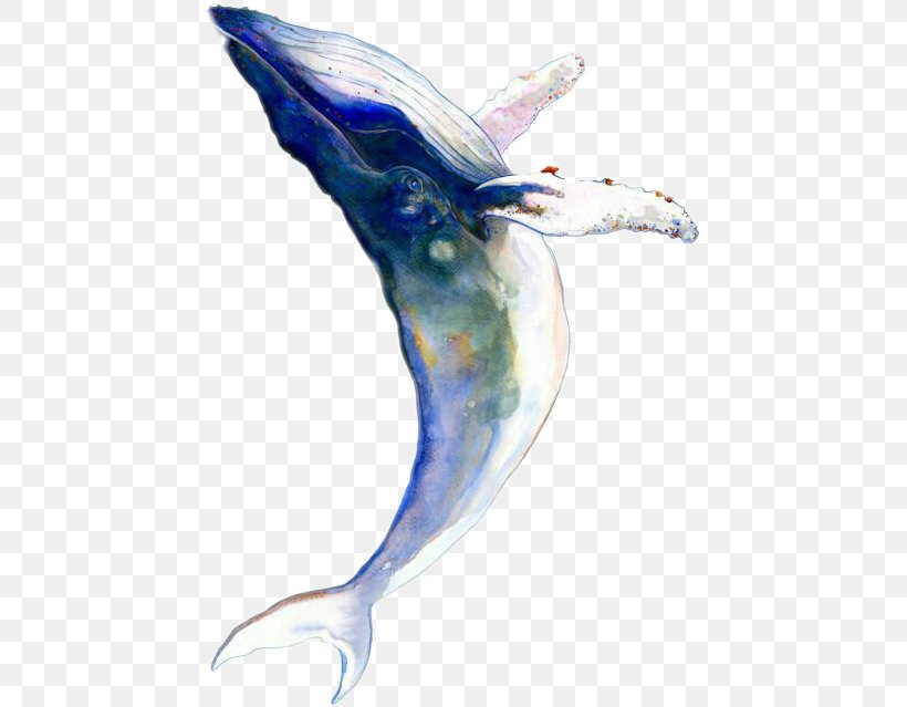 Watercolor Painting Humpback Whale Drawing Cetaceans Tattoo, PNG, 448x639px, Watercolor Painting, Abziehtattoo, Art, Beak, Blue Whale Download Free
