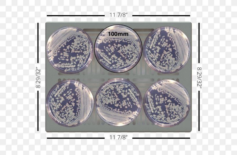 Enterobacter Cloacae Plastic Product Blue And White Pottery Tableware, PNG, 600x535px, Plastic, Blue And White Porcelain, Blue And White Pottery, Dishware, Enterobacter Download Free