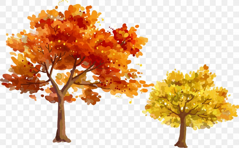 Autumn Tree Leaf, PNG, 2018x1257px, Autumn, Autumn Leaf Color, Branch, Deciduous, Flowering Plant Download Free