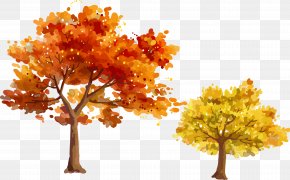 Autumn Trees Autumn Leaves Vector Material Hand-painted - Autumn Tree Leaf PNG