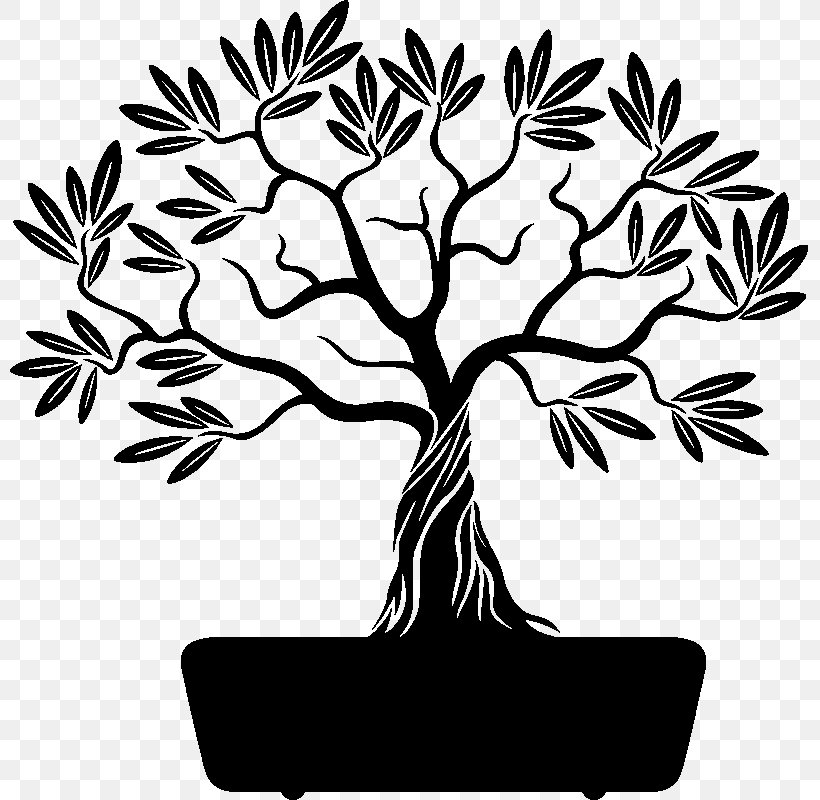 Branch Drawing Clip Art, PNG, 800x800px, Branch, Artwork, Black And White, Drawing, Flower Download Free