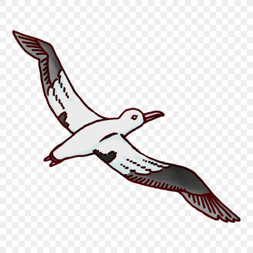 Feather, PNG, 1400x1400px, Watercolor, Beak, Biology, Bird Of Prey, Birds Download Free