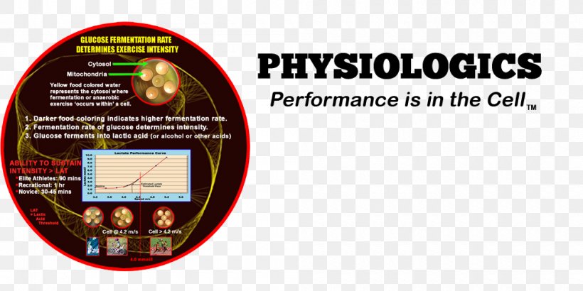 Physiologics Health Exercise Physiology Brand, PNG, 1000x500px, Health, Area, Brand, Exercise, Exercise Physiology Download Free