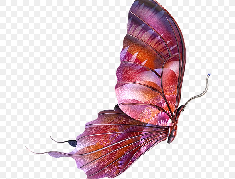 Butterfly Clip Art, PNG, 650x623px, Butterfly, Butterflies And Moths, Color, Gimp, Ink Download Free