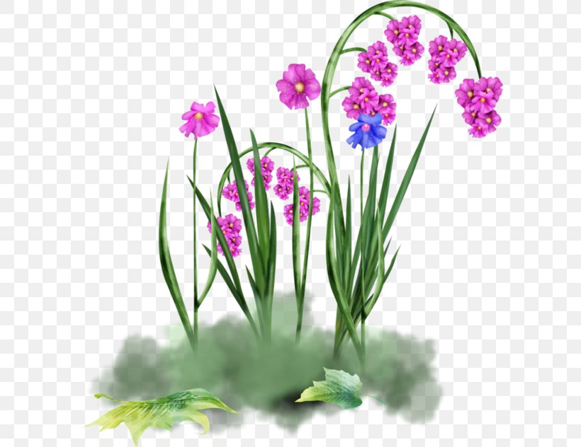 Floral Design Flower Orchids, PNG, 600x632px, Floral Design, Drawing, Flora, Floristry, Flower Download Free