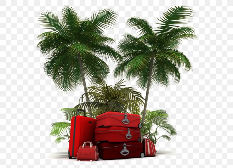 I.P.A.G. Srl Vacation Travel Suitcase, PNG, 600x592px, Vacation, Ansichtkaart, Arecales, Child, Coconut Download Free