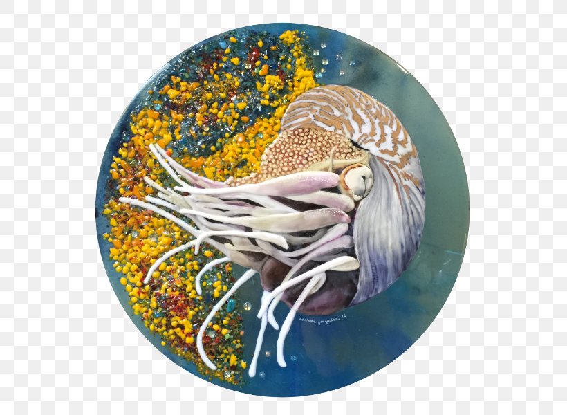 Sea Turtle Jellyfish Fused Glass, PNG, 598x600px, Sea Turtle, Coral, Eating, Ferguson, Fused Glass Download Free