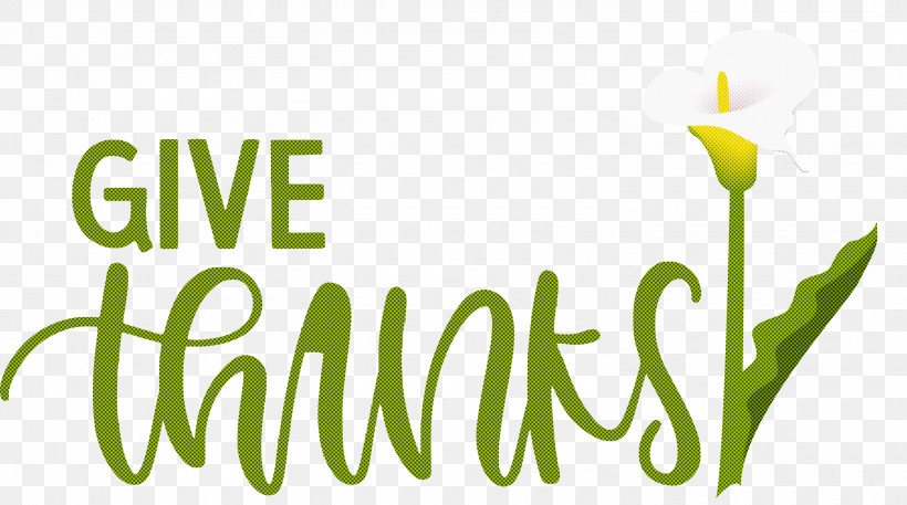 Thanksgiving Be Thankful Give Thanks, PNG, 3000x1672px, Thanksgiving, Be Thankful, Flower, Give Thanks, Green Download Free