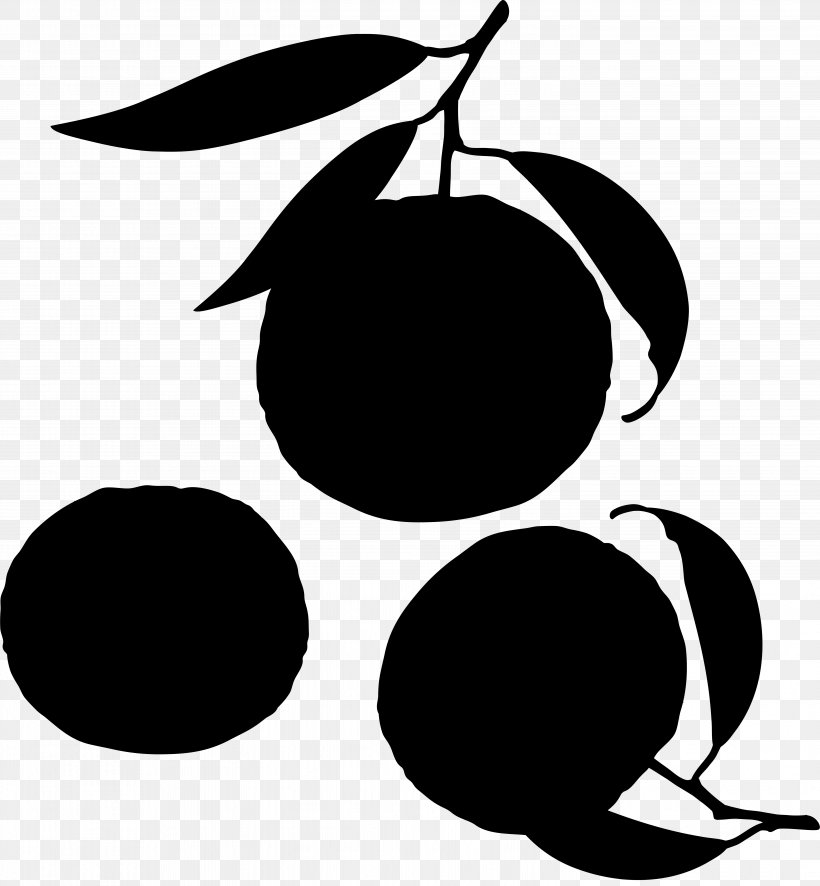 Clip Art Fruit Line Pattern Silhouette, PNG, 5798x6268px, Fruit, Black M, Blackandwhite, Flowering Plant, Fruit Tree Download Free