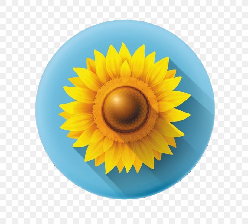 Common Sunflower Icon, PNG, 740x740px, Common Sunflower, Close Up, Daisy Family, Drawing, Eye Download Free