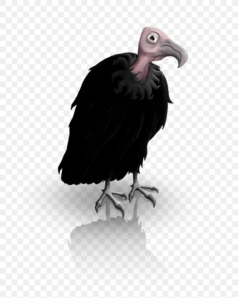 Condor Fauna Vulture Beak, PNG, 720x1024px, Condor, Accipitriformes, Beak, Bird, Bird Of Prey Download Free
