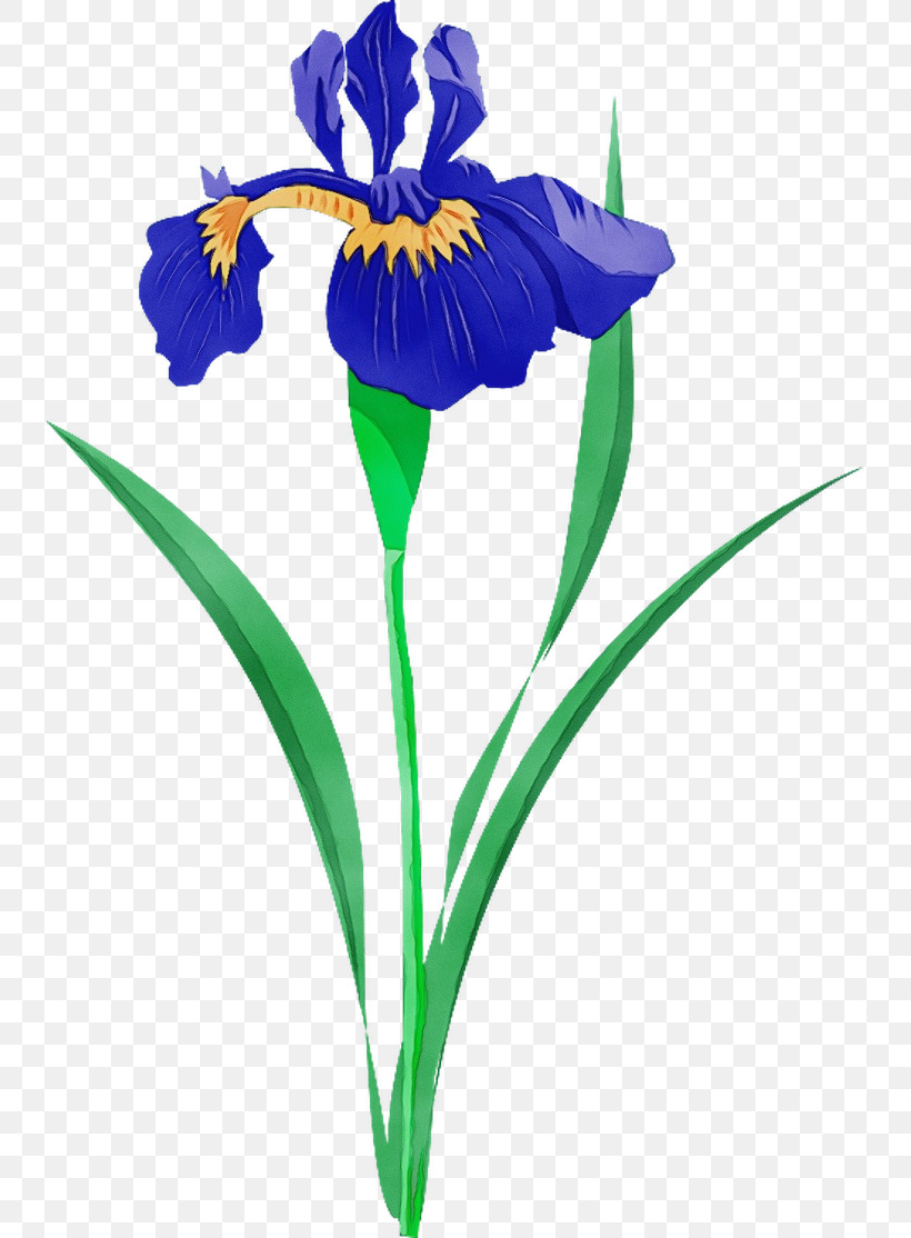 Floral Design, PNG, 735x1114px, Watercolor, Chlorophytum Comosum, Cut Flowers, Daffodil, Floral Design Download Free