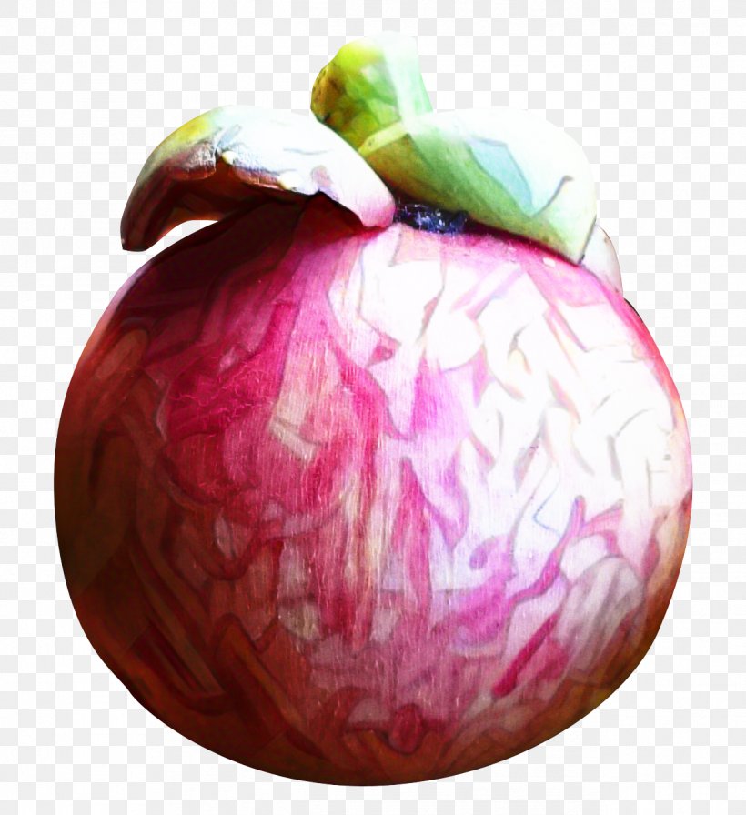 Onion Cartoon, PNG, 1266x1384px, Magenta, Food, Fruit, Onion, Pink Download Free