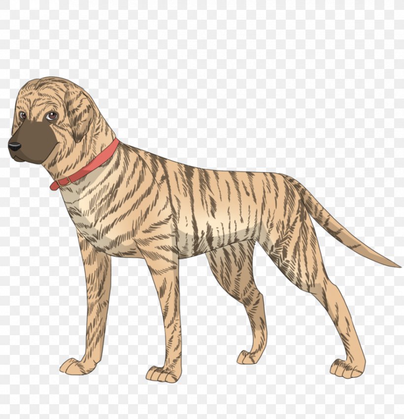 Dog Breed Sporting Group Retriever Cat, PNG, 877x910px, Dog Breed, Big Cat, Big Cats, Breed, Carnivoran Download Free