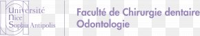 Odonto - University Of Nice Sophia Antipolis Document Handwriting Angle PNG
