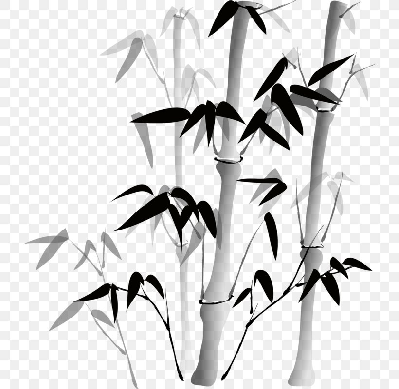 Bamboo Painting China Chinese Painting Drawing, PNG, 723x800px, Bamboo, Art, Bamboo Painting, Black And White, Branch Download Free