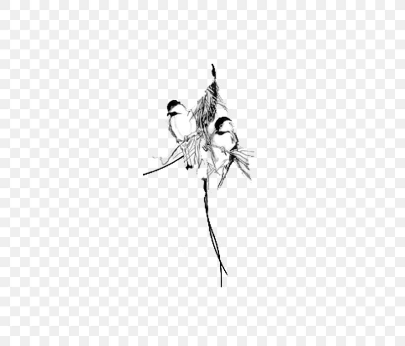 Bird Flight Black And White, PNG, 700x700px, Bird, Black And White, Computer, Eurasian Tree Sparrow, Flight Download Free