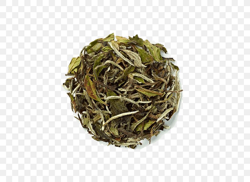 English Breakfast Tea Bai Mudan White Tea Green Tea, PNG, 500x600px, Tea, Adagio Teas Golden Monkey Tea, Bai Mudan, Baihao Yinzhen, Bancha Download Free