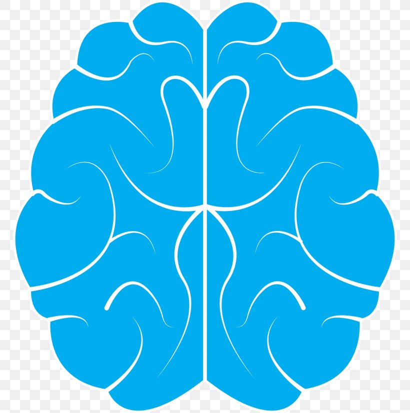 Neuroscience Practice Institute, PLLC: Geoffrey W. Colino, MD Human Brain, PNG, 768x826px, Brain, Aqua, Area, Blue, Brain Tumor Download Free
