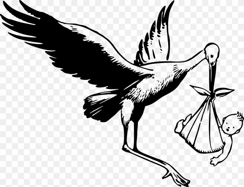 White Stork Drawing Clip Art, PNG, 1000x765px, White Stork, Art, Artwork, Beak, Bird Download Free