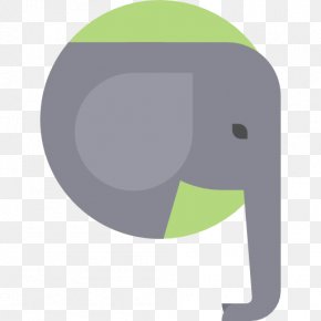 Elephant - Elephant PNG