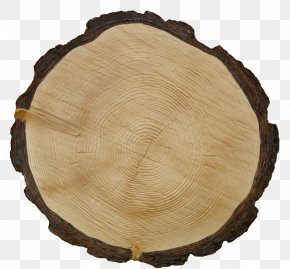 Tree - Paver Texture Mapping Tile Sett Tree PNG