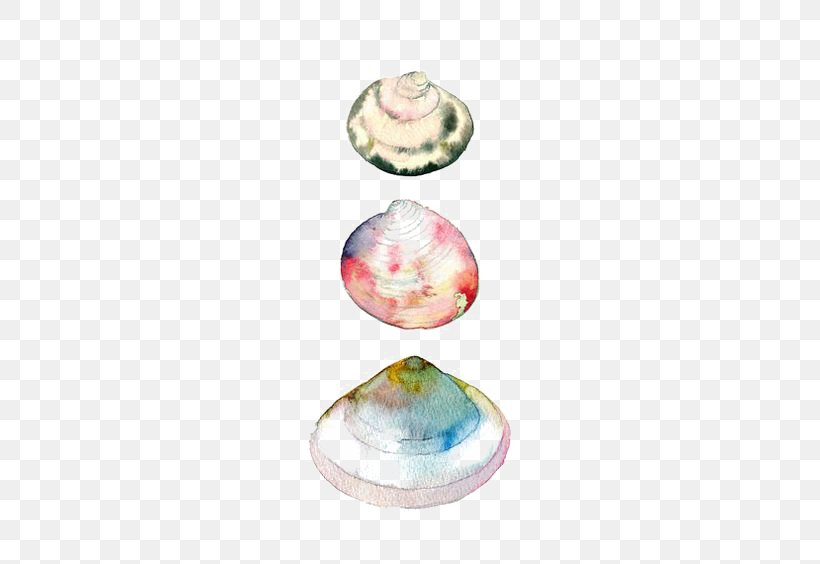 Watercolor Painting Drawing Seashell, PNG, 564x564px, Watercolor Painting, Art, Artist, Color, Drawing Download Free
