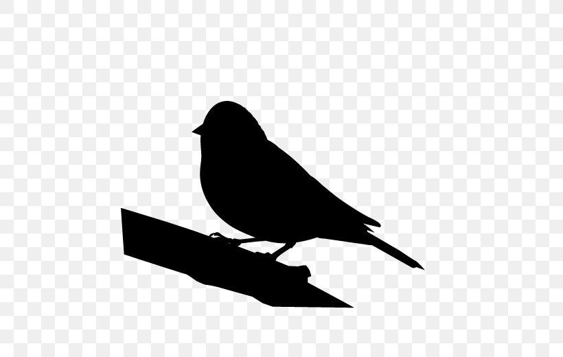 Beak American Sparrows Fauna Silhouette Black M, PNG, 600x520px, Beak, American Sparrows, Bird, Black, Black M Download Free