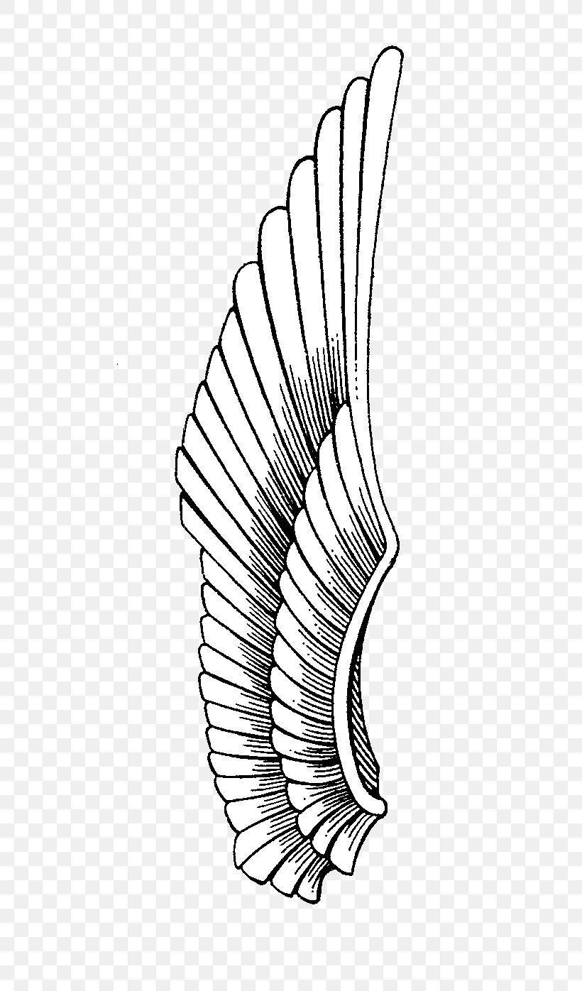 Drawing Line Art Eagle Monochrome, PNG, 516x1396px, Drawing, Animal, Area, Arm, Artwork Download Free