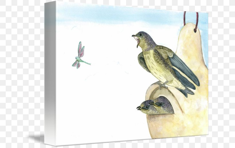 Finches Beak Fauna, PNG, 650x518px, Finches, Beak, Bird, Fauna, Finch Download Free