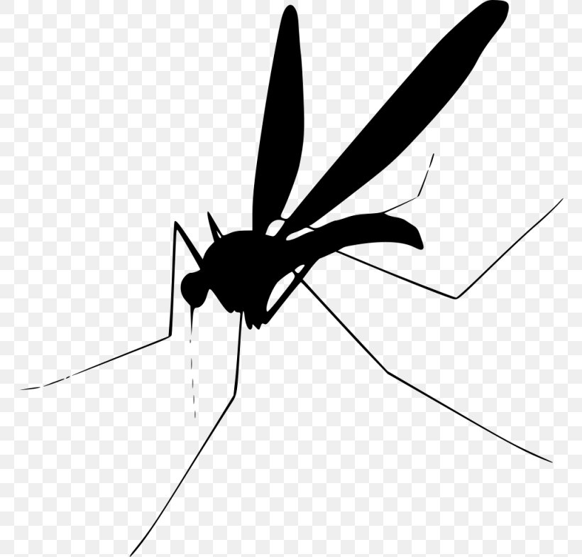 Mosquito Insect Fly Clip Art, PNG, 768x784px, Mosquito, Arthropod, Black And White, Can Stock Photo, Fly Download Free