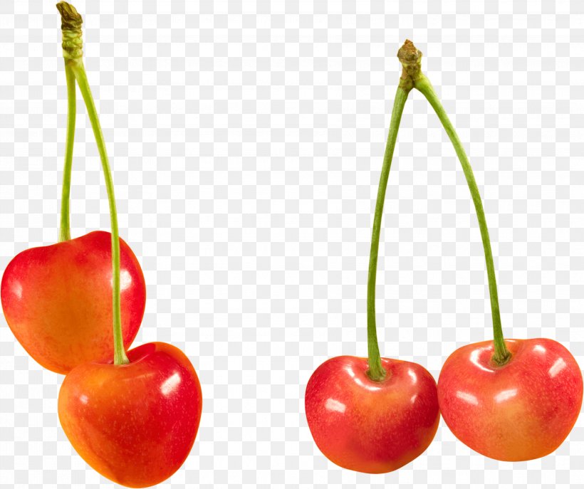 Cerasus Sweet Cherry Fruit Berry Clip Art, PNG, 3559x2985px, Cherry, Acerola, Apple, Cerasus, Diet Food Download Free