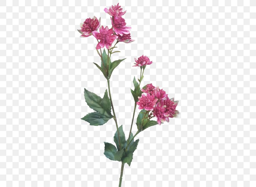 Cut Flowers Floral Design Plant Stem, PNG, 800x600px, Flower, Alstroemeriaceae, Annual Plant, Cut Flowers, Floral Design Download Free