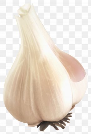 Garlic - Garlic Pesto Food Vegetable PNG