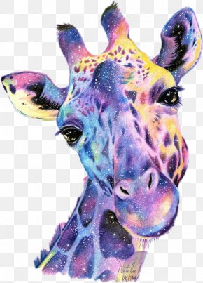 Animal Figure Wildlife - Giraffe Cartoon PNG
