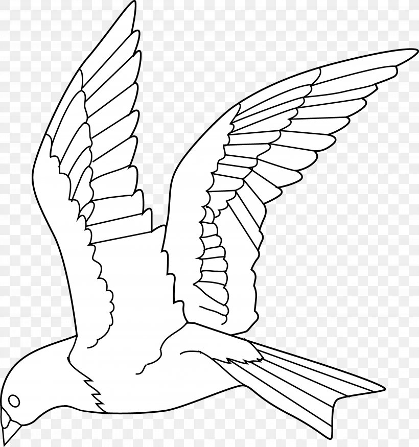Bird Drawing Parrot Flight Clip Art, PNG, 5183x5532px, Bird, Animal, Art, Artwork, Beak Download Free