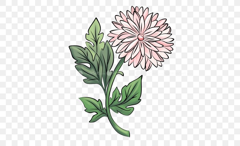 Floral Design Drawing Paper Chrysanthemum Flower, PNG, 500x500px, Floral Design, Art, Caricature, Chrysanthemum, Chrysanths Download Free