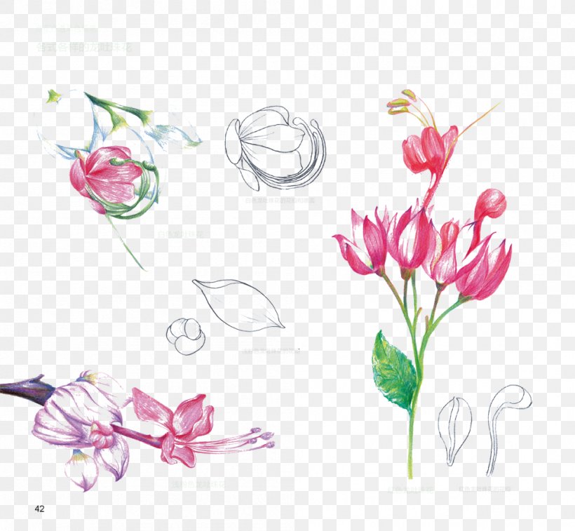 Floral Design Flower, PNG, 999x923px, Floral Design, Anatomy, Art, Campanula Medium, Cut Flowers Download Free