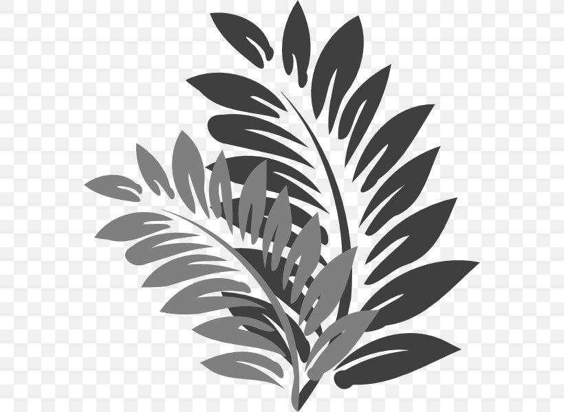 Leaf Clip Art Shoeblackplant Flower, PNG, 576x600px, Leaf, Black And White, Branch, Flora, Flower Download Free