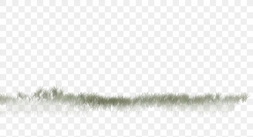 Water Line White Sky Plc, PNG, 1200x650px, Water, Black And White, Grass, Sky, Sky Plc Download Free