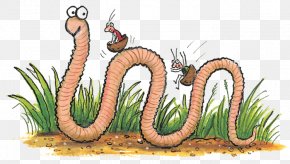 Insect - Superworm Insect Foundation Stage Clip Art PNG